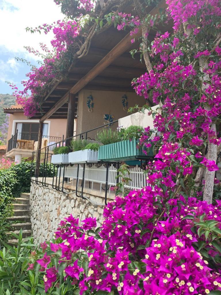 Sea View Bougainvillea 52 Kalkan Exterior photo